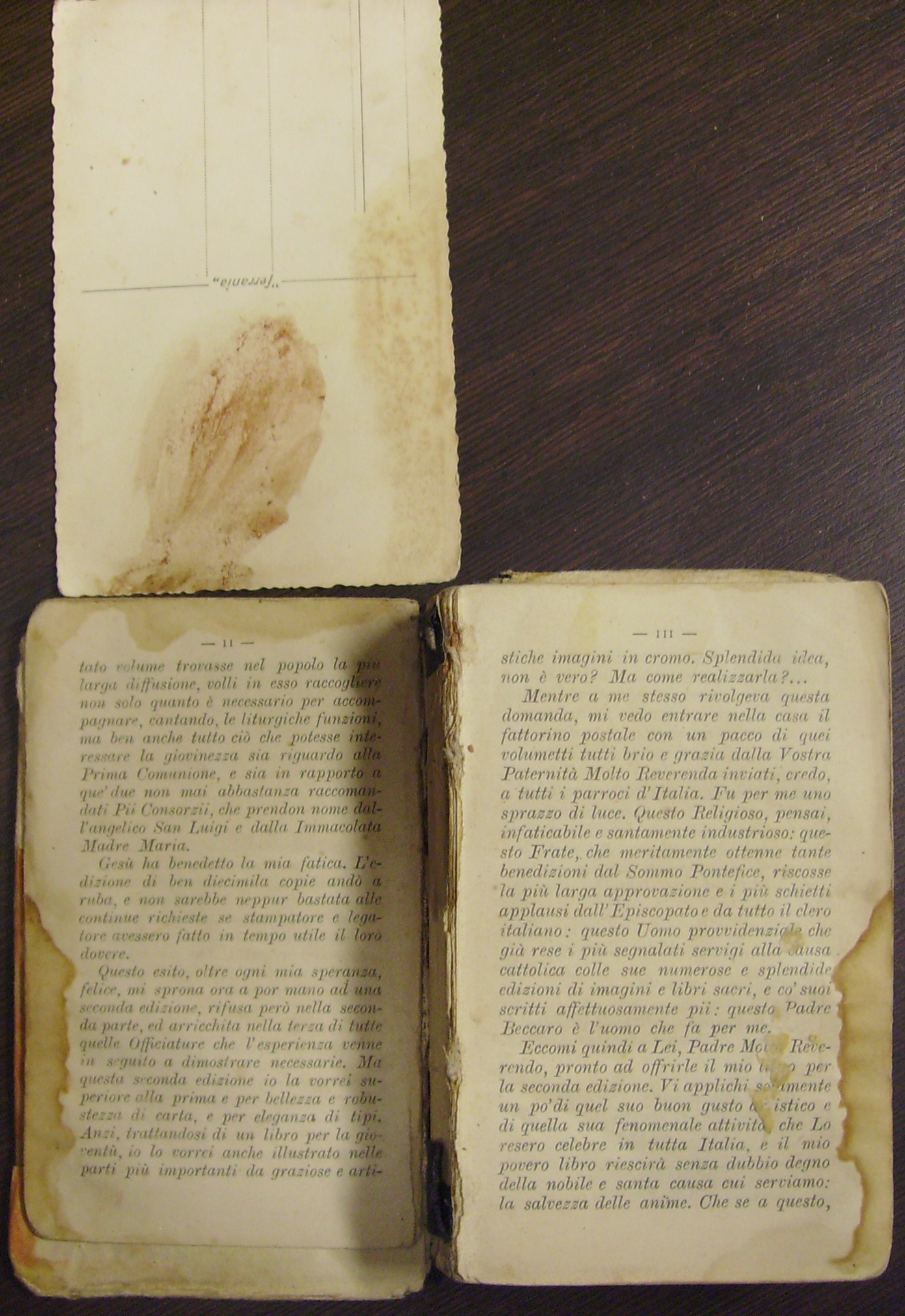 Il libriccino di preghiere intriso di sangue