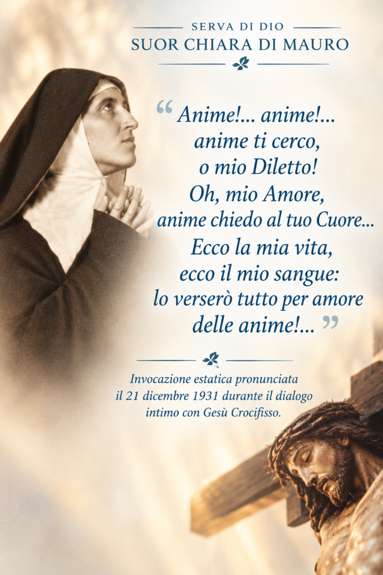 Anime io cerco