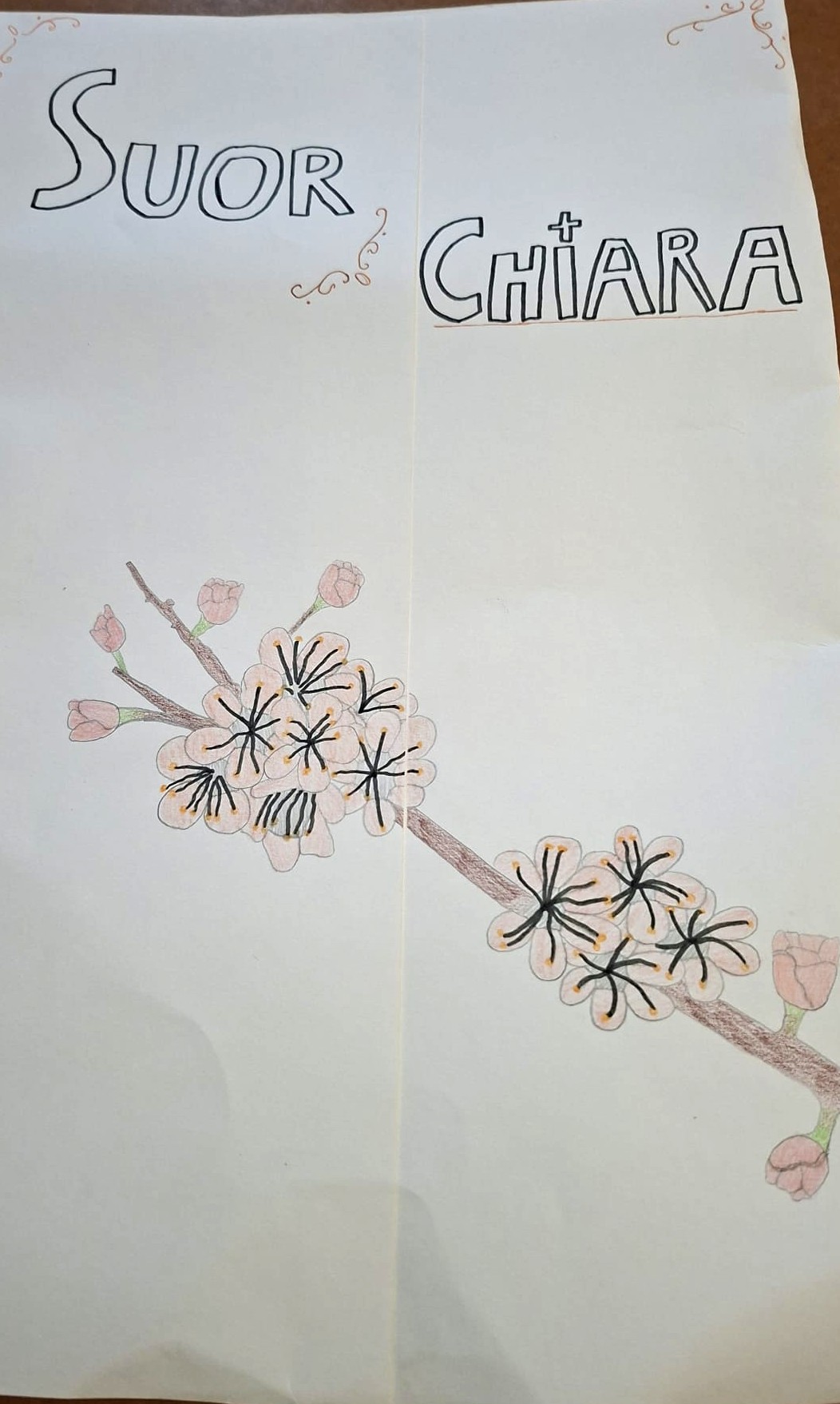 Disegno 21